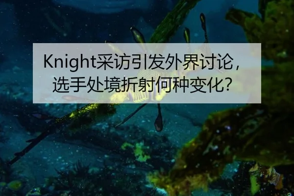 Knight采访引发外界讨论，选手处境折射何种变化？