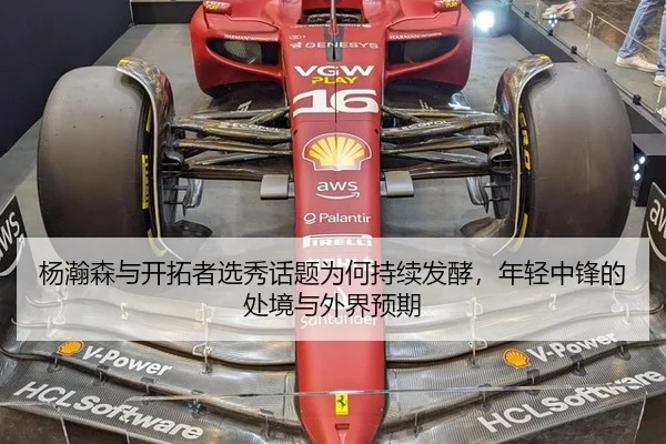杨瀚森与开拓者选秀话题为何持续发酵，年轻中锋的处境与外界预期